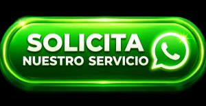 servicio técnico en Santa Anita a domicilio 
