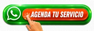 Agenda por WhatsApp una revisión técnica antes de que tu refrigerador deje de enfriar por completo y la comida termine malográndose.